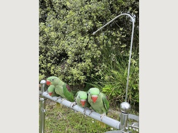 Image 1 of 6