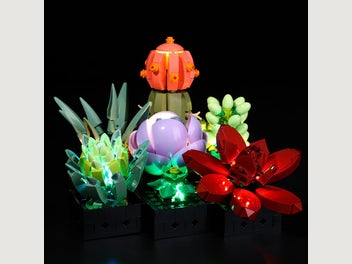 Image 1 of 10