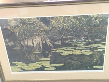 Image 1 of 9