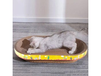 Image 1 of 10