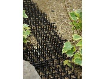 Image 1 of 9