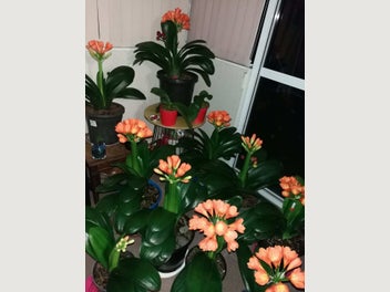 Image 1 of 9