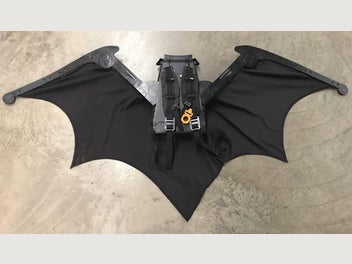 Image 1 of 10