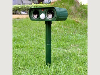 Image 1 of 6