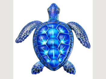 Image 1 of 7