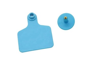 Image 1 of 9