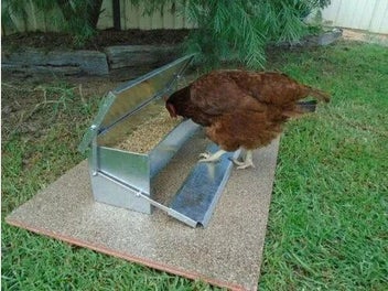 Image 1 of 7