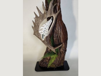 Image 1 of 1
