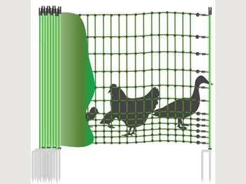 Image 1 of 8