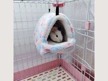 Image 1 of 18