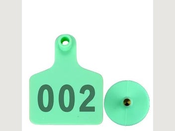 Image 1 of 9