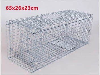 Image 1 of 9