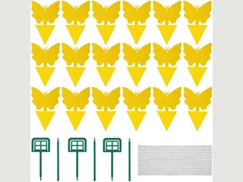 Image 1 of 8