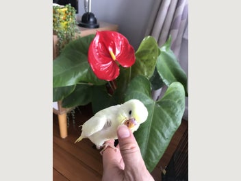 Image 1 of 14