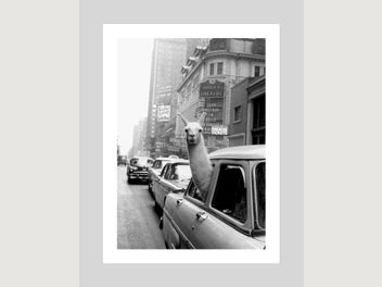 Image 1 of 14