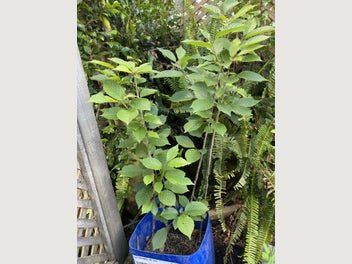 Image 1 of 6