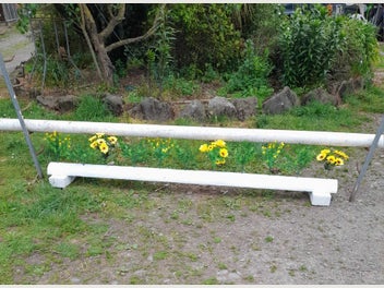 Image 1 of 9