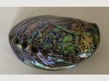 Image 1 of 7