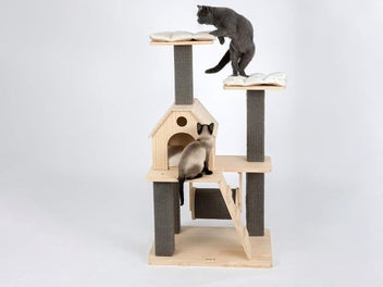 Image 1 of 7