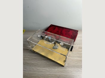 Image 1 of 11