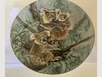 Image 1 of 7