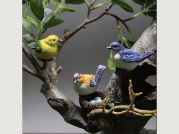 Image 1 of 8