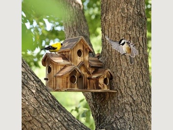 Image 1 of 7