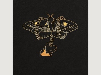 Image 1 of 1