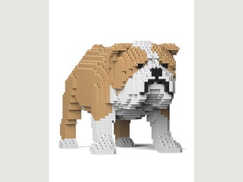 Image 1 of 2