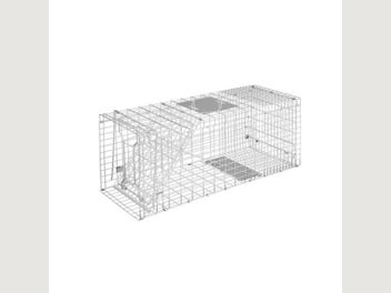 Image 1 of 7