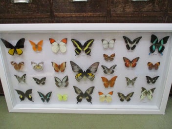 Image 1 of 13