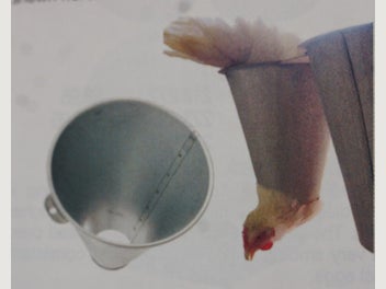 Image 1 of 20