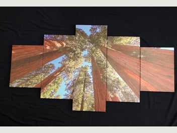 Image 1 of 7