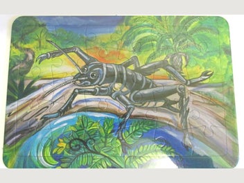 Image 1 of 1