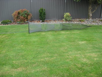 Image 1 of 12