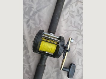 Image 1 of 7