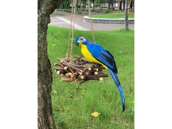 Image 1 of 9