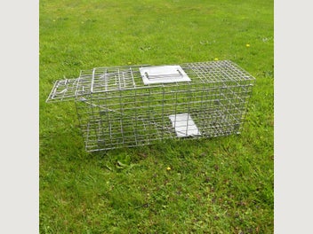 Image 1 of 11