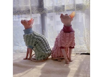 Image 1 of 10