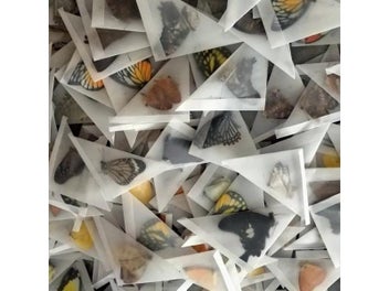 Image 1 of 9