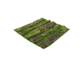Image 1 of 9