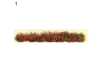 Image 1 of 10