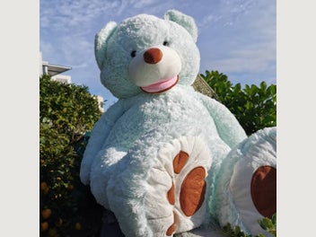 Image 1 of 4