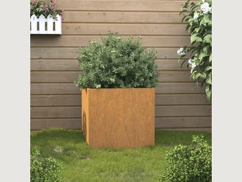 Image 1 of 9