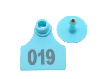 Image 1 of 10