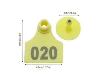Image 1 of 10