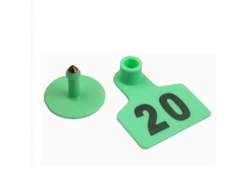 Image 1 of 10