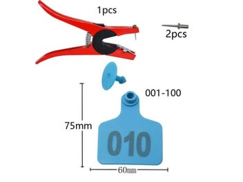 Image 1 of 10