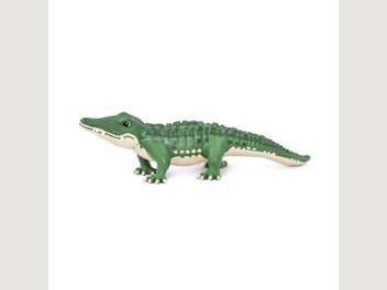 Image 1 of 9
