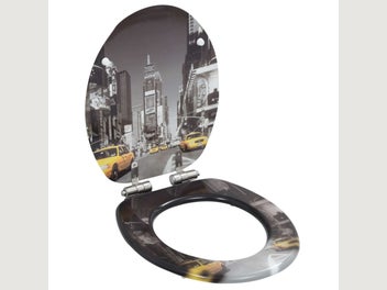 Image 1 of 10